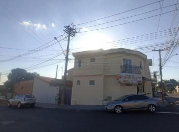 Apartamento · 254m² · 1 Quarto · 1 Vaga · Cobertura para venda em Parque Sisi de 254.00m² com 1 Quarto e 1 Garagem
