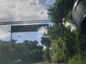 Terreno · 2000m² · 4 Quartos · 4 Vagas · Chácara para venda em Loteamento Bosque Dos Palmares de 2000.00m² com 4 Quartos, 1 Suite e 4 Garagen