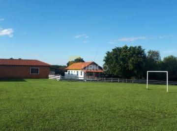Terreno · 800m² · 8 Quartos · Chácara para alugar em REFORMA AGRÁRIA de 800.00m² com 8 Quartos e 5 Suites