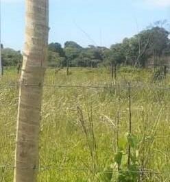 Terreno · 520m² · Terreno para venda em Paraiso dos Pescadores de 519.53m²