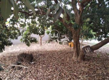 Terreno · 290m² · 1 Quarto · 1 Vaga · Terreno para venda em Parque Santa Cecília de 290.00m² com 1 Quarto, 1 Suite e 1 Garagem