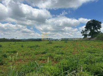 Comercial · 27433m² · Imóvel Comercial para venda em Chácara Alvorada de 27433.00m²