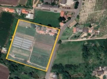 Comercial · 35000m² · Imóvel Comercial para venda em BOM JARDIM de 35000.00m²