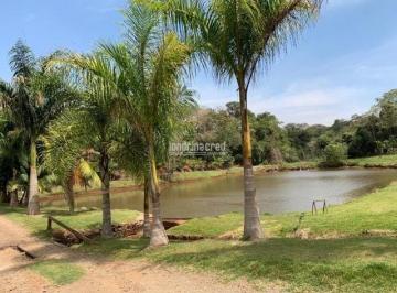 4j0dsi2ytiwmwqznmfmmjy0_md · Chácara à venda Zona Rural, Correia de Freitas - PR