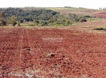 cuifnaa2ytiwmwuwntjmytc0_md · Chácara à venda Lerroville, Lerroville - PR
