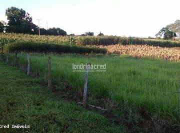 1myayqe2ytiwmjblytuzmmu0_md · Chácara à venda 1500M², Zona Rural, Paiquerê - PR