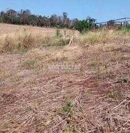 wphyf8w2ytiwmte3mmmznzy2_md · Chácara à venda 1300M², Zona Rural, Warta - PR