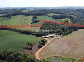 nlcioxq2ytiwmtm4zjy4y2y0_md · Chácara à venda 200000M², Zona Rural, Mariental - PR