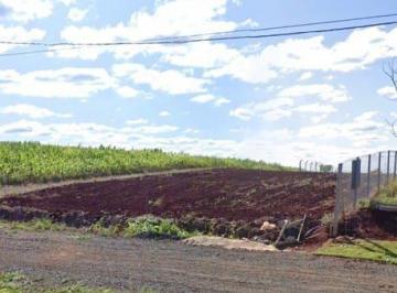 h5pevaq2ytiwmtu0nduyyje4_md · Chácara à venda 1000M², Zona Rural, São Luiz - PR