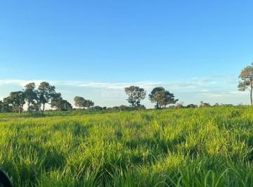 anfriq2ytfkodaynza3mta3_md · FAZENDA À VENDA – MIRANDA/MS | 1.817 HECTARES