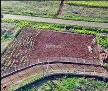 tsdnfgu2ytiwndzjogi3njqy_md · Terreno à venda 1000M², Centro, Guaravera - PR