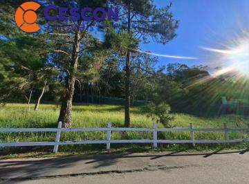 Foto 01 · Terreno - Residencial Morada das Estrelas (Aldeia da Serra)