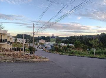 Foto 35 · Loteamento Vista Alegre - terrenos 324m² para venda em Caxias do Sul