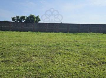 202505041134216907.jpg · Terreno para Venda em São Pedro, Terra das Àguas