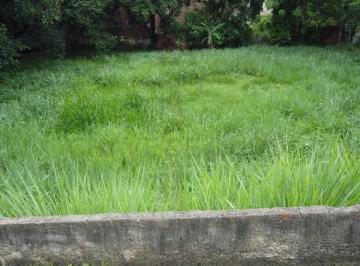 202502111442115501.jpg · Terreno para Venda em São Pedro, Centro