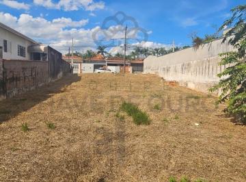 202504091404477452.jpg · Terreno para Venda em São Pedro, Vila Rica