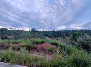 20250409142054981.jpg · Terreno para Venda em São Pedro, Colinas de São Pedro