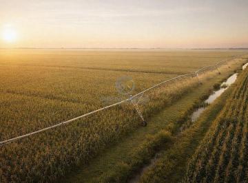 Pivô central irrigando lavoura de alto rendimento com aproveitamento máximo de água. · Fazenda 8.420 ha em Lassance-MG Irrigada | R$ 265 Milhões