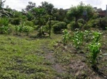 Terreno · 2000m² · Terreno em Jardim Presidente Dutra, Guarulhos/SP de 2000m² à venda por R$ 4.500.000,00