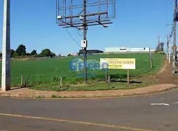 Terreno · 12841m² · Terreno em Parque Industrial José Belinati, Londrina/PR de 12841m² à venda por R$ 15.410.000,00