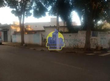 whatsapp-image-2026-07-31-at-15-08-07_cleanup1785766785158.jpeg · Terreno à venda, Cipava, Osasco, SP
