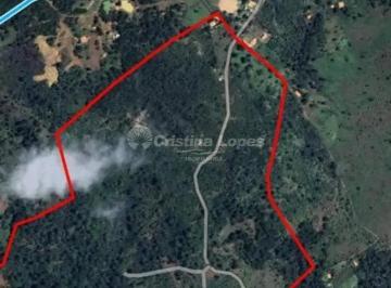 Rural · 10m² · 4 Quartos · Fazenda em Rural, Floriano/PI de 10m² 4 quartos à venda por R$ 850.000,00