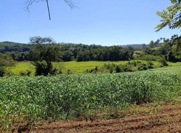 Rural · 40000m² · Sítio em , Pedreira/SP de 0m² à venda por R$ 1.100.000,00