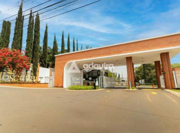 Terreno · 308m² · Terreno em Colônia Dona Luíza, Ponta Grossa/PR de 308m² à venda por R$ 550.000,00