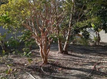 Terreno · 350m² · Terreno para venda em Mandú de 350.00m²