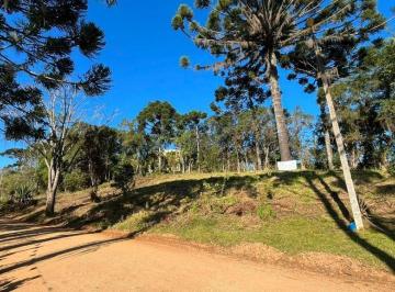 aa5ca527f81ca7677a5241e2fa21c71140745440 · Chácara à venda, 5000 m² por R$ 480.000 - Vila David Antônio - Campo Largo/PR