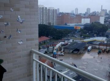 20180220153659533.jpg · Apartamento para Locação em Sao Paulo, Jaguare, 3 dormitórios, 1 suíte, 2 banheiros, 1 vaga