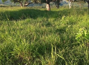 VENDO LOTE NO POVOADO BOM JARDIM - ITABAIANA/SE · VENDO LOTE NO POVOADO BOM JARDIM - ITABAIANA/SE