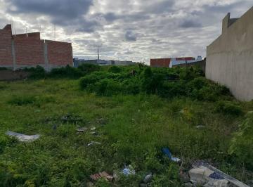 Vendo lote no Mamede Paes Mendonça - Itabaiana/SE · Vendo lote no Mamede Paes Mendonça - Itabaiana/SE