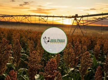 Rural , Ipameri · Arrendamento agricola em pameri-GO - 180 Hectares irrigados 2 Pivôs
