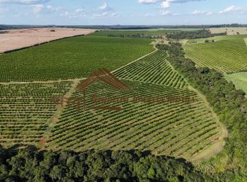 Rural , Avaré · Fazenda com 197 alqueires na região de Avaré-SP