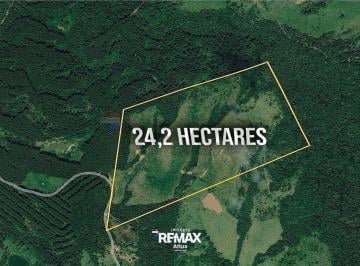 Rural · 242000m² · Sitio de 10 alqueires à venda em Tamara, próximo a Londrina-PR