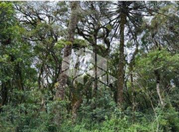 Terreno · 783m² · Terreno em condomínio fechado, com 782,56m² na cidade de Canela