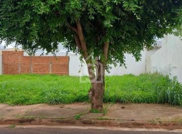Terreno · 250m² · Terreno à Venda no Residencial Mário Benez em Fernandópolis | 250,70m² Quitado e Escriturado
