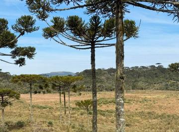 Rural · 778000m² · Área à venda em Urubici/SC