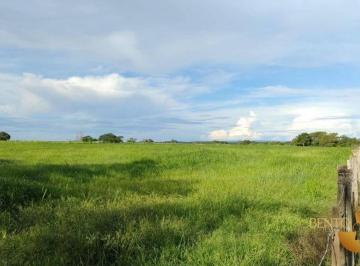 8cee4012bc528bb3b28ef696289e55c3a552f800 · Fazenda com 2 dormitórios à venda, 275 m² por R$ 13.500.000,00 - Zona Rural - Jangada/MT