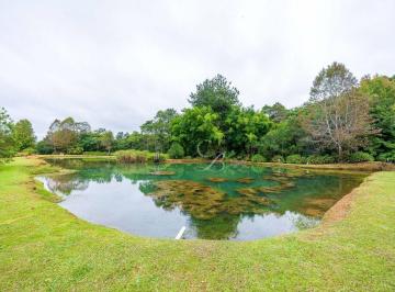 7ba46d1ee8753062f783348d6fcb91f91f21670a · Fazenda Exclusiva na Estrada da Ribeira à venda, 217316 m² por R$ 25.000.000