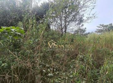 a1ee2cf97a407d6bae55c1a75b5e5c7a8fdbf392 · Terreno à venda, 1000 m² por R$ 850.000,00 - São João do Rio Vermelho - Florianópolis/SC