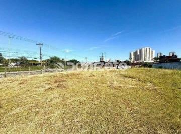Terreno · 3000m² · Terreno Comercial/Industrial para Aluguel em Santo André (Parque Jaçatuba)