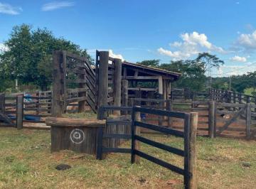 Imagem 1 · Haras e Área Rural Padrão para venda em Bady Bassitt