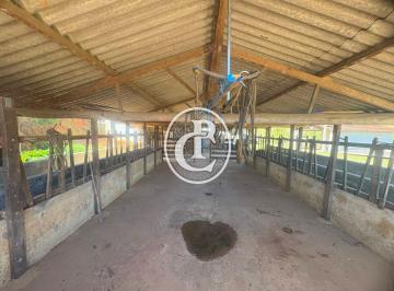 Imagem 1 · Fazenda para venda em Centro, Igaratá