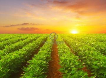 Imagem 1 · Fazenda para venda em Centro, São Félix do Araguaia