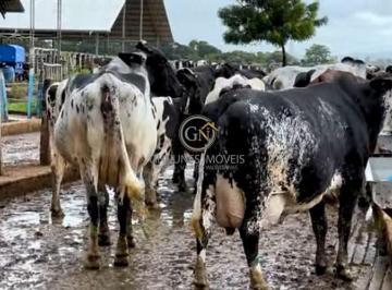 Imagem 1 · Fazenda para venda em Centro, João Pinheiro