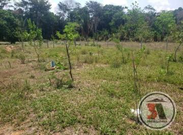 Imagem 1 · Sítio para venda em Bairro Novo, Porto Velho