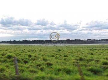 Imagem 1 · Fazenda para venda em Araguaína
