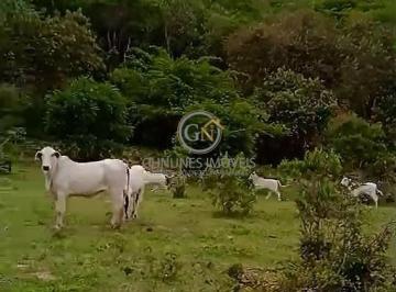 Imagem 1 · Fazenda para venda em Centro, Pedra Azul